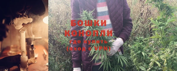 крисы Белоозёрский