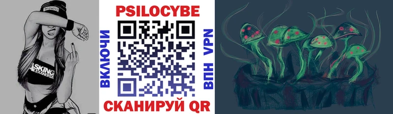 Псилоцибиновые грибы Psilocybe  Верхотурье 